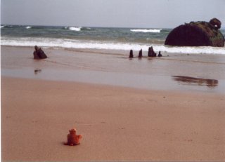 Monkey studying rusty wreckage