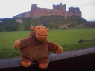 Mr Monkey in front of Bamburgh castle