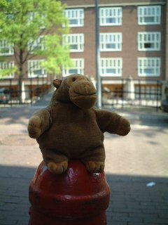 Mr Monkey sitting on a bollard