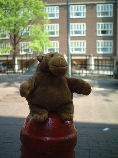 Mr Monkey sitting on a bollard