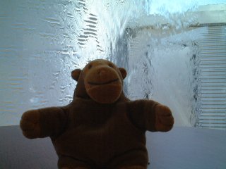 Mr Monkey in front of a wall of water
