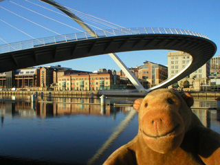 Mr Monkey watching the Millennium Bridge turn over