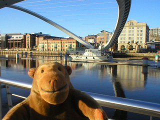 Mr Monkey watching a Royal Navy patrol boat go under the Millennium Bridge