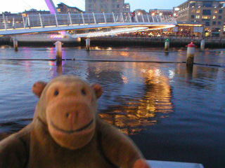 Mr Monkey looking at the lights under the Millennium Bridge