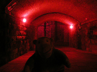 Mr Monkey looking at a spookily illuminated railway arch
