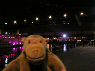 Mr Monkey looking at lights flashing from the Swing Bridge