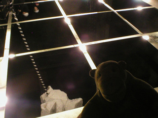 Mr Monkey looking at 'The White Night' from the other side of the room