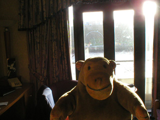 Mr Monkey in his hotel room