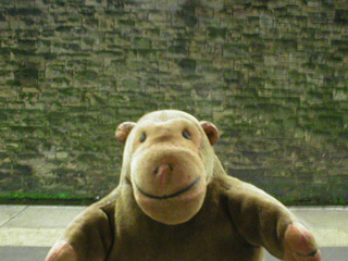 Mr Monkey looking at a blank wall at Sheffield station