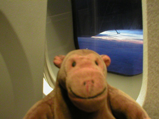 Mr Monkey looking out of a plane window