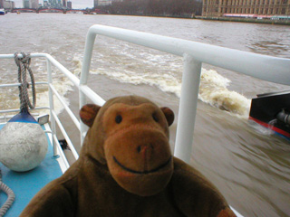 Mr Monkey looking at the stern of the boat