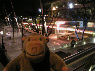 Mr Monkey looking at the Festival Hall after dark