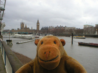 Mr Monkey looking at Westminster from the south bank