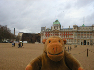 Mr Monkey looking 