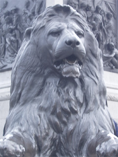 The face of a Trafalgar Square lion