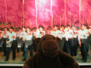 Mr Monkey looking at Red Sea
