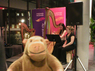 Mr Monkey watching a harpist at Urbis