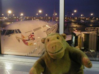 Mr Monkey looking at a Virgin Atlantic plane