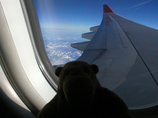 Mr Monkey looking out of the plane at some mountains