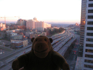 Mr Monkey looking out of his hotel window