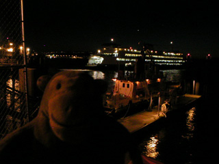 Mr Monkey watching a Washington State Ferry docking at Pier 52