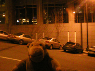 Mr Monkey looking at cars parked on the slope of Madison Street