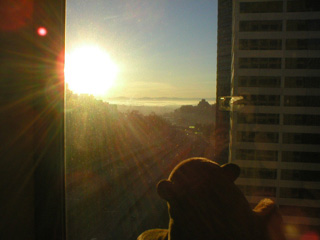 Mr Monkey looking at Interstate 5 from his hotel