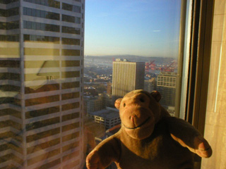 Mr Monkey looking out of his window at dawn
