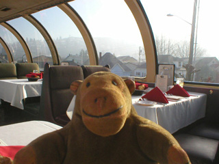 Mr Monkey looking out of the City of Renton