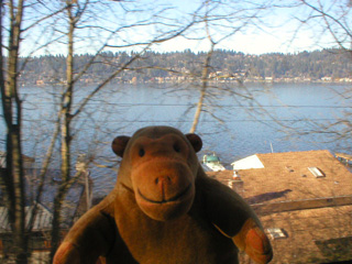 Mr Monkey looking at Mercer Island from the train
