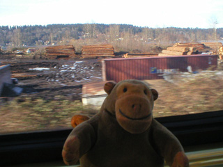 Mr Monkey looking at a lumber yard