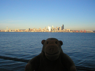 Mr Monkey looking at downtown Seattle from Alki