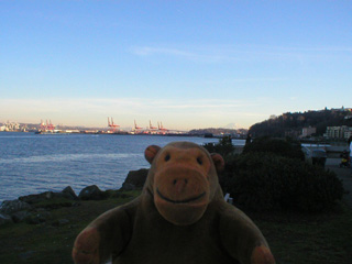 Mr Monkey looking at the Port of Seattle from Alki