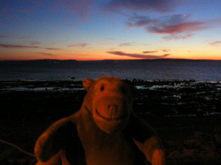 Mr Monkey looking out to sea from the Charles Richey Sr Viewpoint