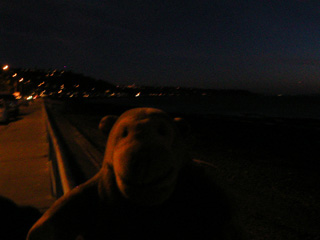 Mr Monkey looking down the coast to Fauntleroy