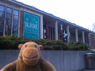 Mr Monkey outside the Burke Museum