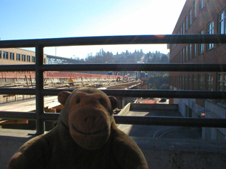 Mr Monkey looking at the Fremont Bridge being rebuilt