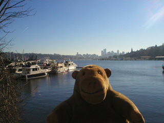 Mr Monkey looking across Lake Union