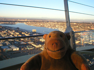 Mr Monkey looking towards Lake Union