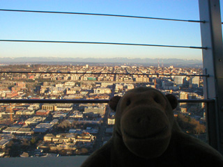 Mr Monkey looking towards Capitol Hill from the Space Needle