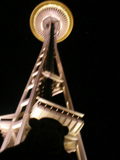 Mr Monkey looking up at the Space Needle by night