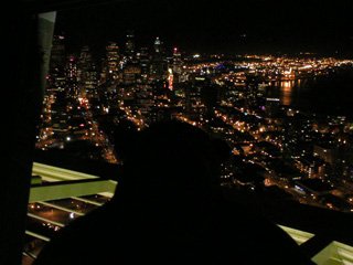 Mr Monkey looking at downtown Seattle from the outside gallery at night