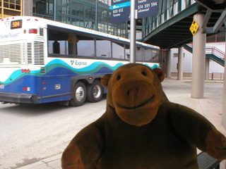 Mr Monkey watching the bus leave the Tacoma Dome