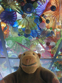 Mr Monkey looking up at the ceiling of the Seaform Pavilion