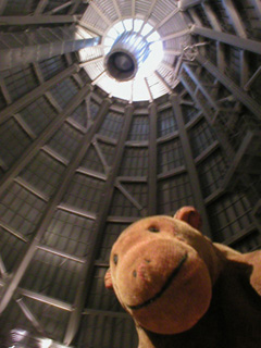 Mr Monkey looking up at the roof of the Hot Shop
