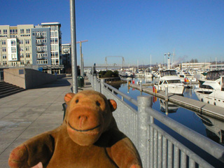 Mr Monkey looking at the Thea Foss Esplanade