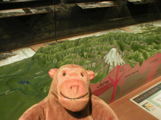 Mr Monkey looking at the Slice of Washington