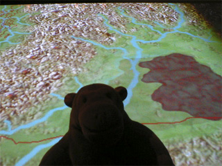 Mr Monkey looking at the Washington Over Time display