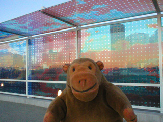 Mr Monkey looking at Teresita Fernandez's Seattle Cloud Cover