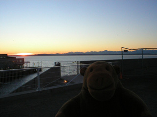Mr Monkey looking out at the Puget Sound